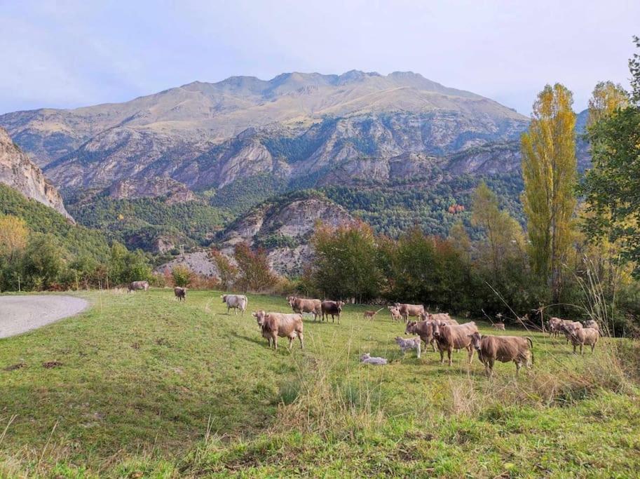 El Refugio De Tena - Tucasaenlospirineos *